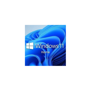 Windows 11 Home Lifetime License For 1 PC only