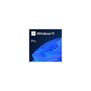 Windows 11 Pro Lifetime License For 1 PC only